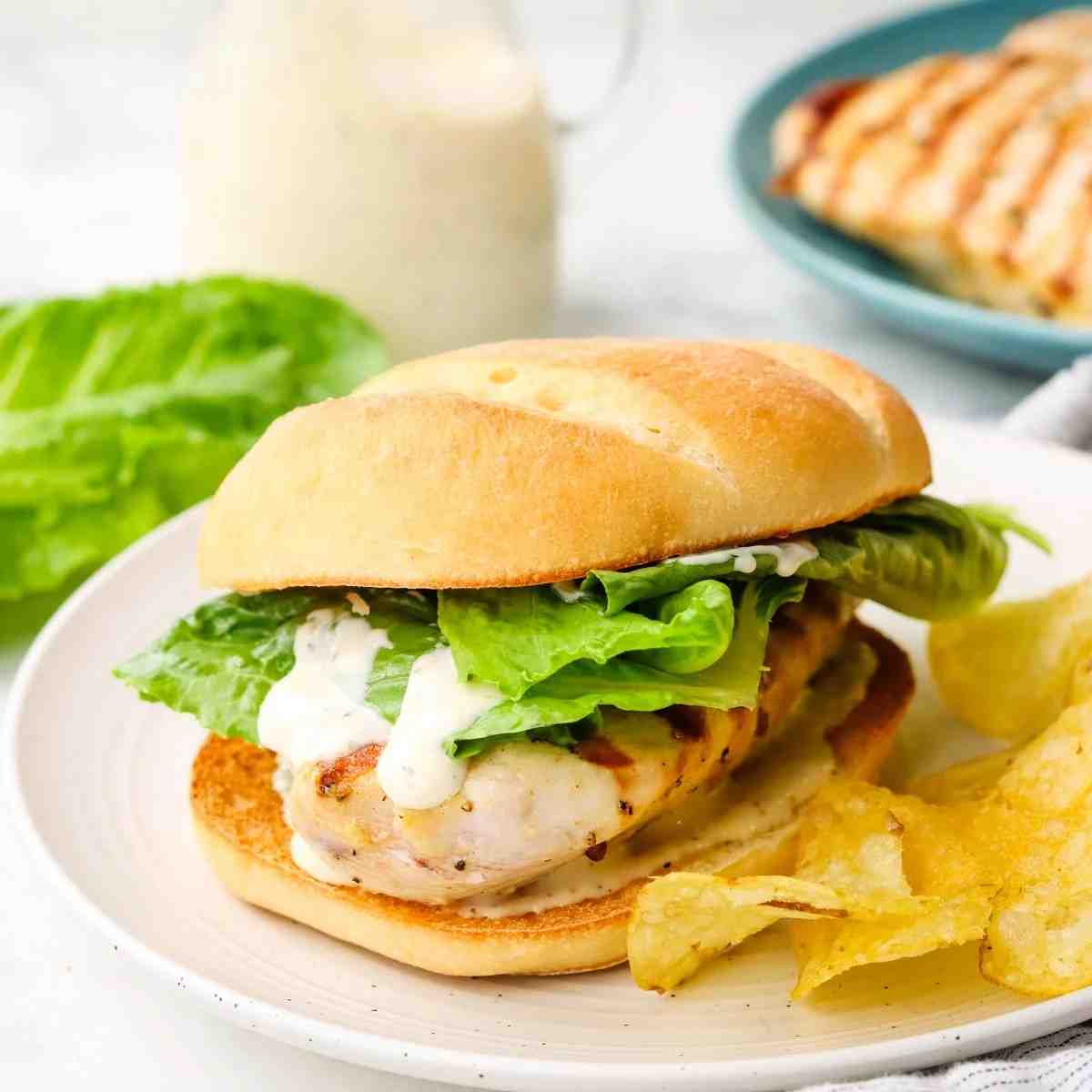 Chicken Caesar Sandwich